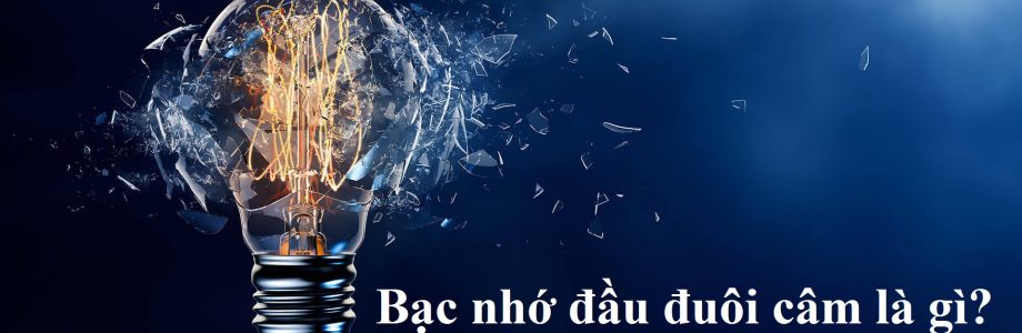 Bạc nhớ đầu đuôi câm là gì?